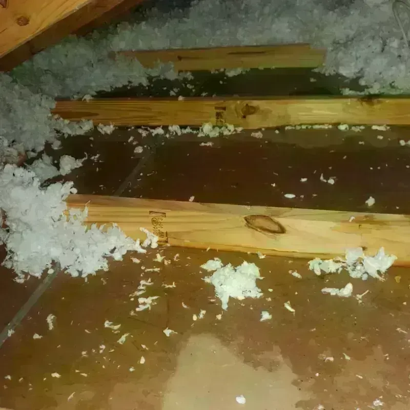 Attic Water Damage in Cricket, NC